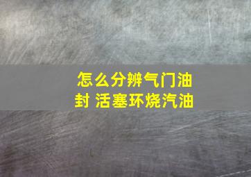 怎么分辨气门油封 活塞环烧汽油